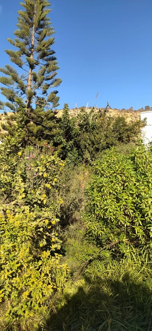 Vente Villa Tlemcen Ghazaouet