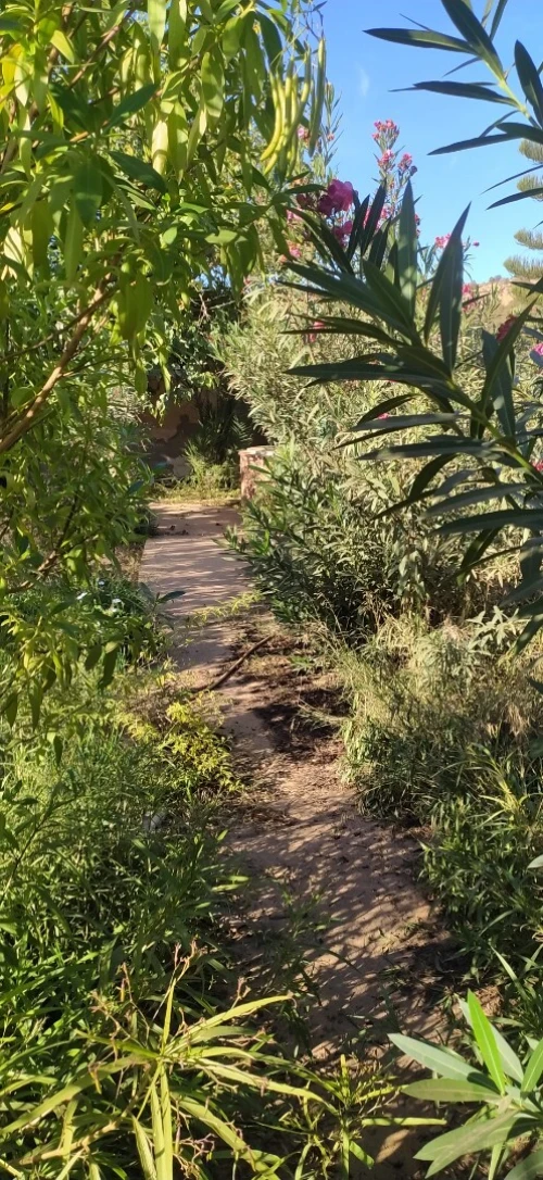 Vente Villa Tlemcen Ghazaouet