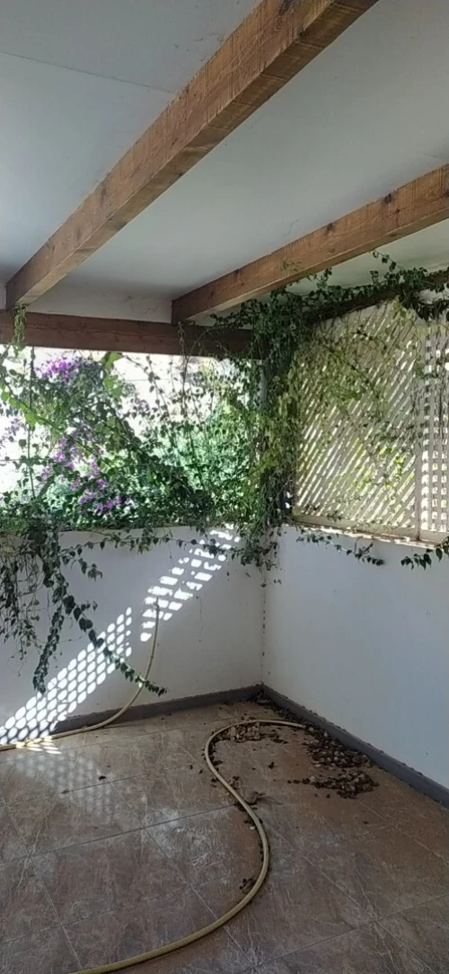 Vente Villa Tlemcen Ghazaouet