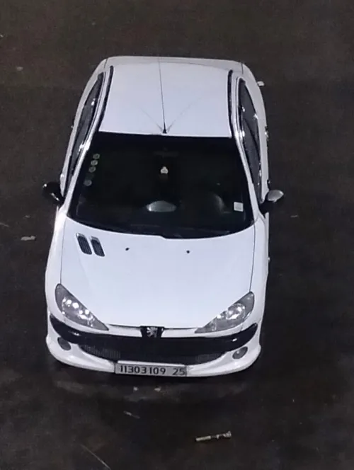 Peugeot 206 Sedan 2009 206 Sedan