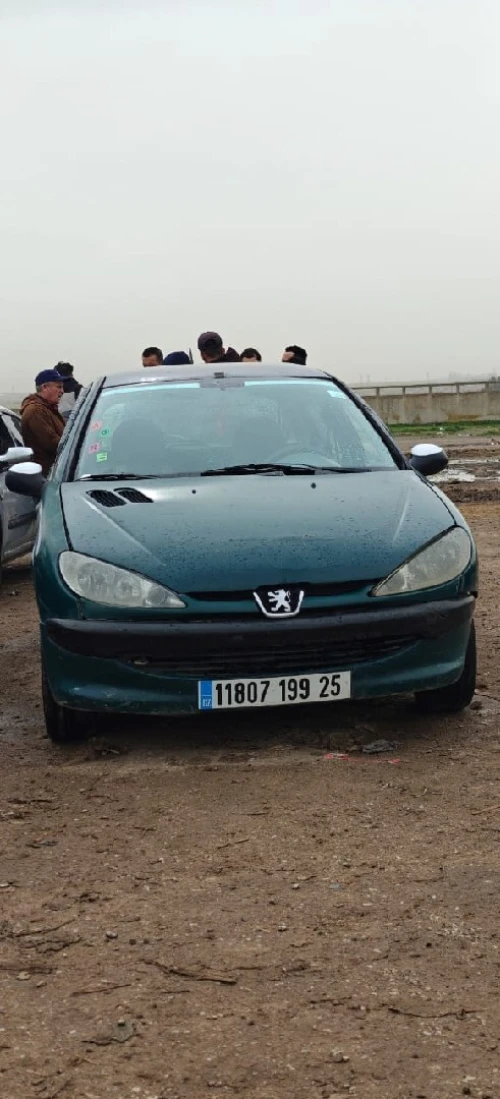 Peugeot 206 1999 206