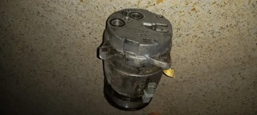 تبسة الشريعة
