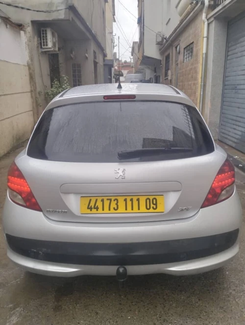 Peugeot 207 2011 Fennec
