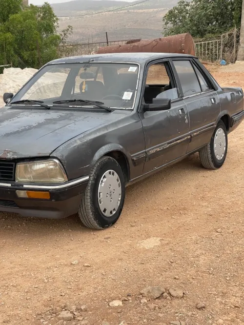Peugeot 505 1990 505
