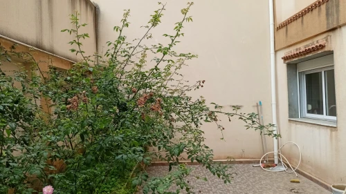 Location Appartement Niveau de villa F3 Alger Birkhadem