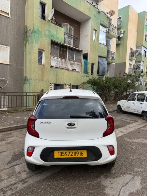 Picanto Lx 2019 
