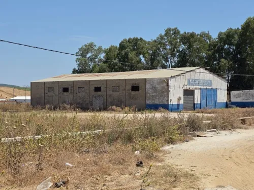 Vente Terrain Skikda Azzaba