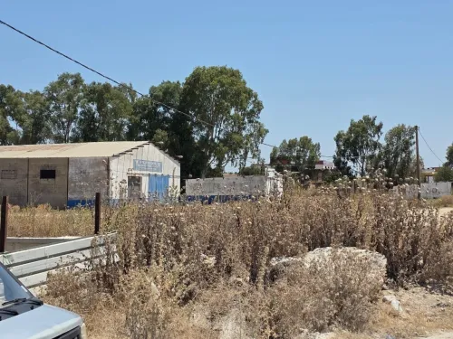 Vente Terrain Skikda Azzaba