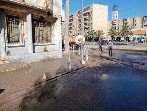 Vente Alger El harrach