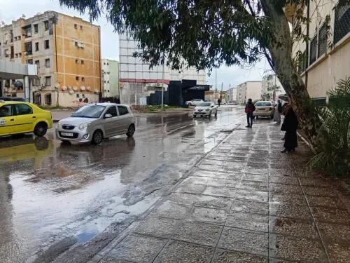Vente Local Annaba Annaba