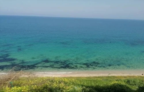 Vente Appartement F4 Alger El marsa