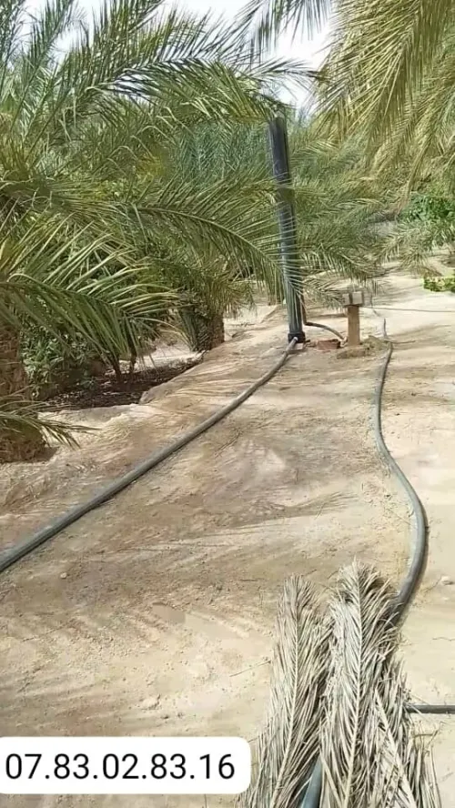 Vente Terrain Agricole Biskra Bouchagroun