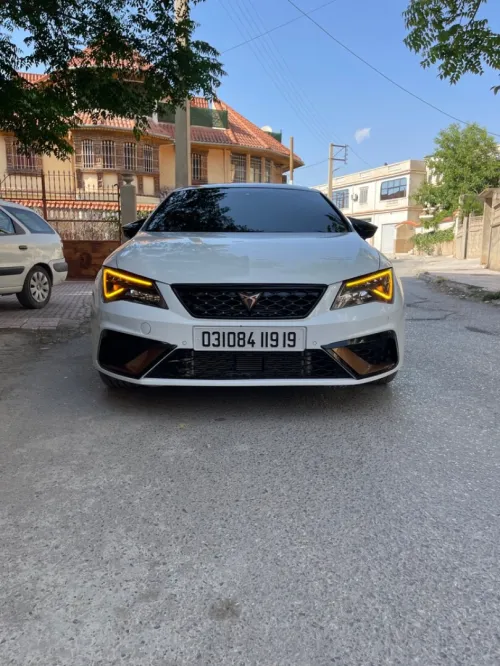 Cupra  Leon 2019 Cubra cobr