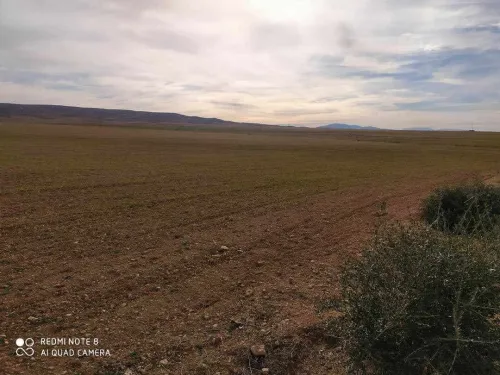 Vente Terrain Khenchela Ain touila