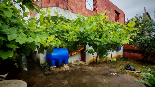 Vente Villa Jijel Chekfa
