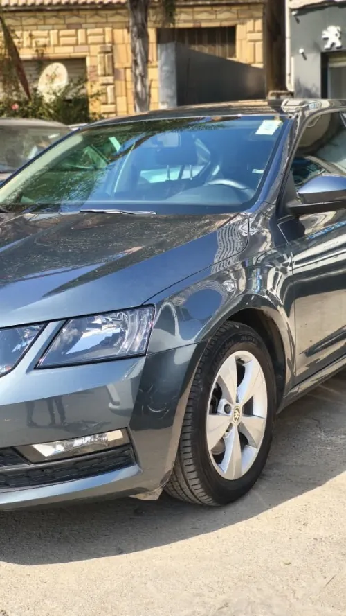 Skoda Octavia 2019 Ambiente