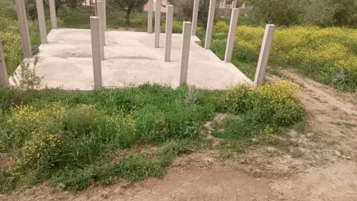 Vente Terrain Tlemcen Ain kebira