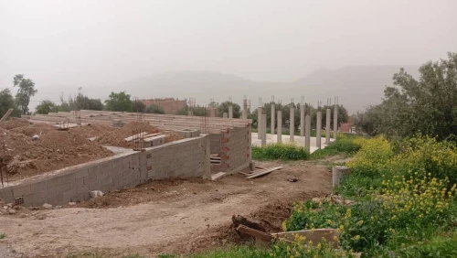 Vente Terrain Tlemcen Ain kebira