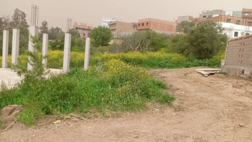 Vente Terrain Tlemcen Ain kebira