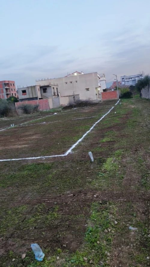 Vente Terrain Alger Ouled chebel