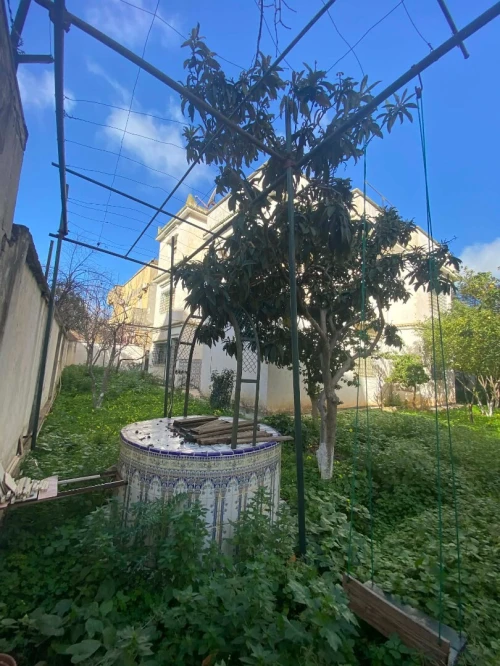 Vente Villa Alger Douera