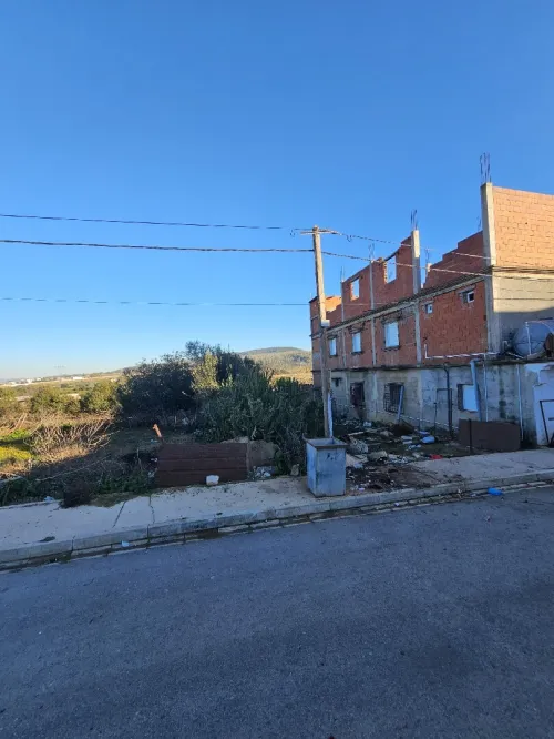 Vente Terrain El Tarf El taref