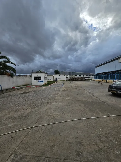 Vente Hangar - Usine El Tarf Ben mehdi
