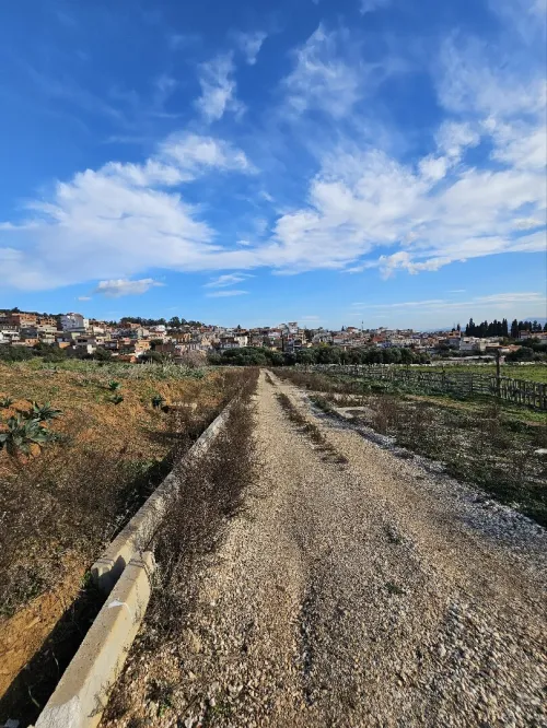Vente Terrain Annaba Barrahel