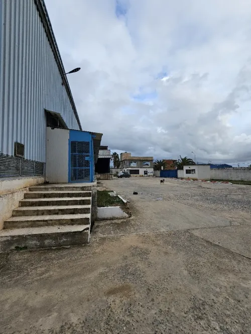 Vente Hangar - Usine El Tarf Ben mehdi