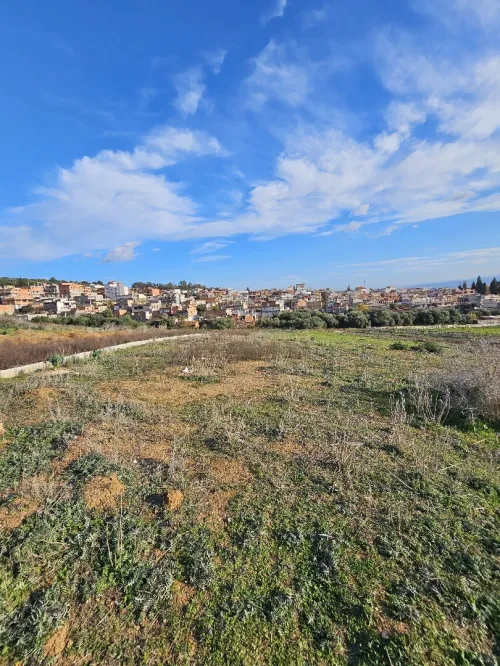 Vente Terrain Annaba Barrahel