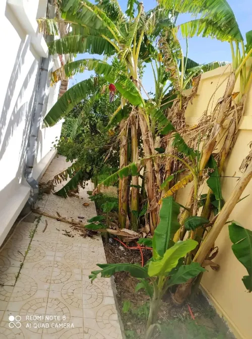 Vente Villa El Tarf El kala