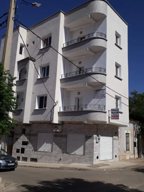 Location Local Saïda Saida