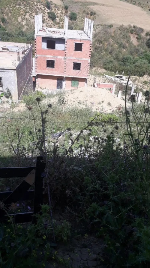 Vente Terrain Alger Douera