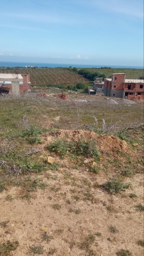 Vente Terrain Boumerdès Zemmouri