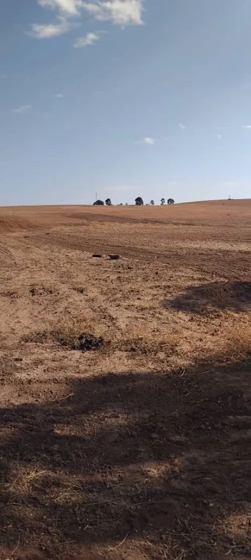 Vente Terrain Agricole Sidi Bel Abbès Sidi bel abbes