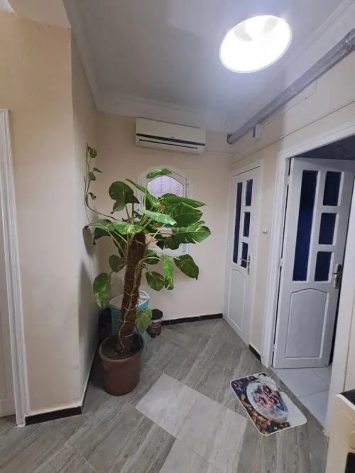Vente Villa Sidi Bel Abbès Sidi bel abbes