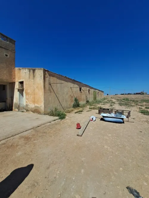 Location Hangar Sidi Bel Abbès Amarnas
