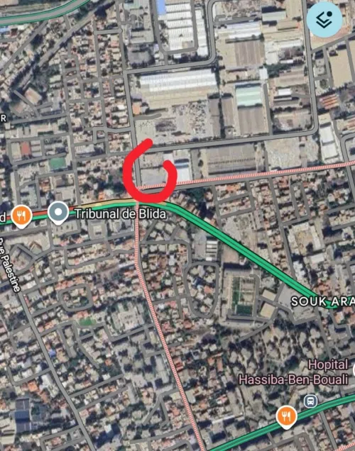 Vente Terrain Blida Blida 3