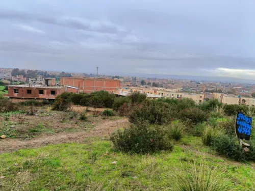 Vente Terrain Blida Ouled selama
