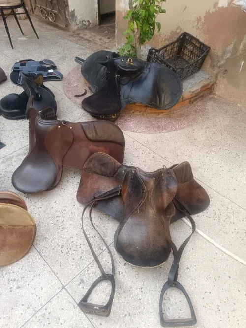Selle de cheval