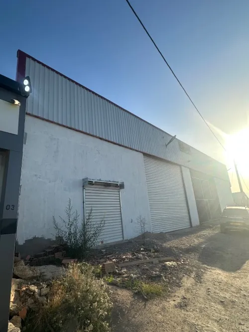 Location Hangar - Usine Alger Reghaia