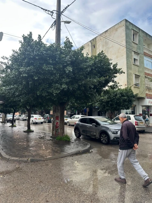 Location Villa Alger Reghaia