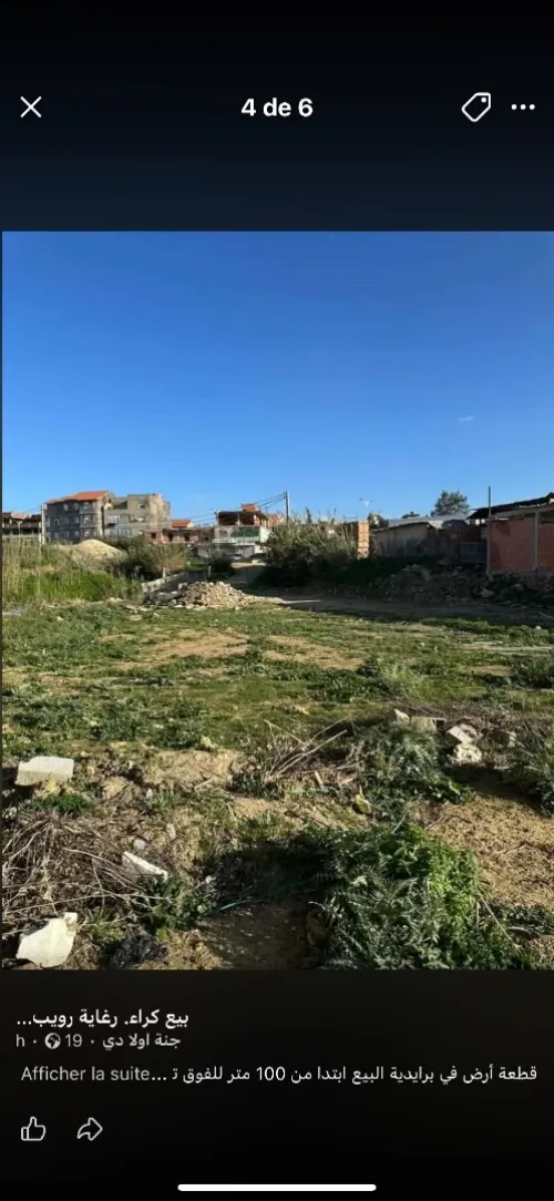 Vente Terrain Alger Reghaia
