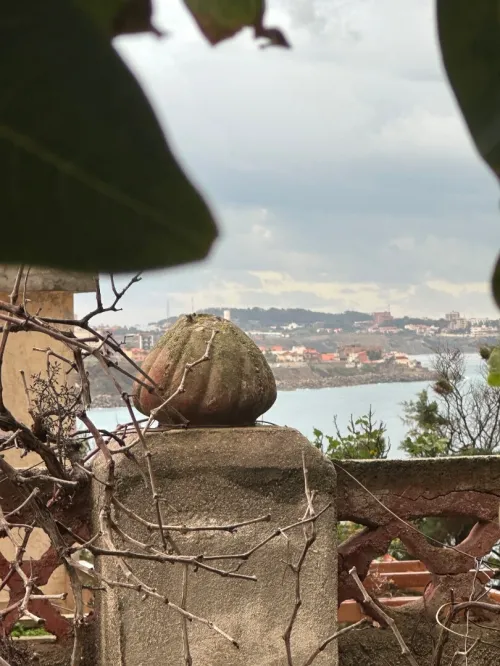 Vente Terrain Alger Ain taya