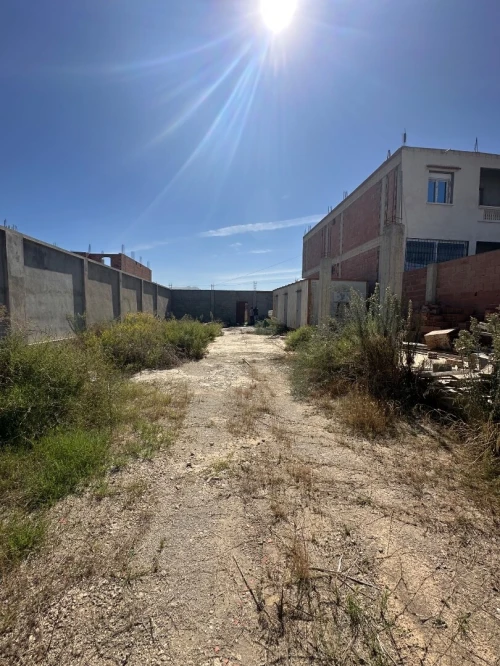 Vente Terrain Boumerdès Ouled moussa