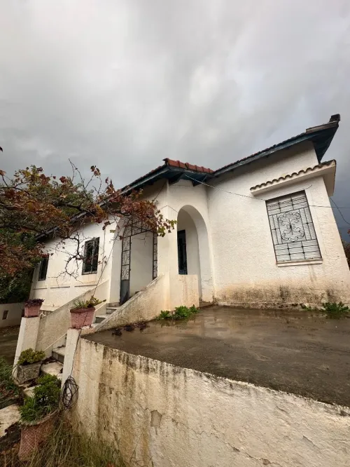 Vente Terrain Alger Ain taya