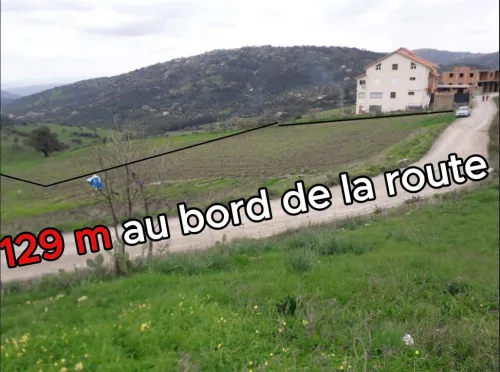 Vente Terrain Agricole Tizi Ouzou Tizi nthlata