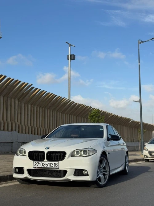 BMW Série 5 2013 520d
