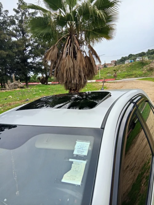 Kia Picanto 2014 Brazilia