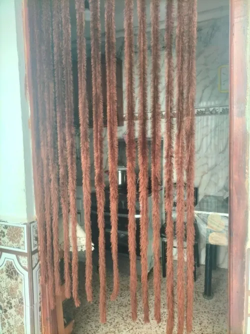 Vente Villa Tipaza Bou ismail